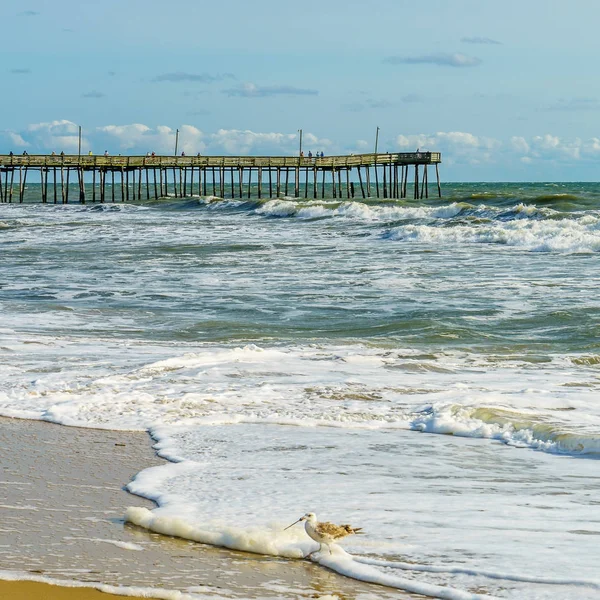 Virginia Beach Fishing Pier och Boardwalk, Virginia Beach, Virginia — Stockfoto