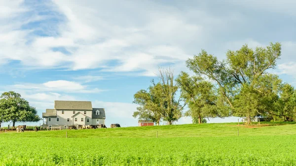 Agricultura de campo de celeiro Amishes fazenda em Lancaster, Pa — Fotografia de Stock