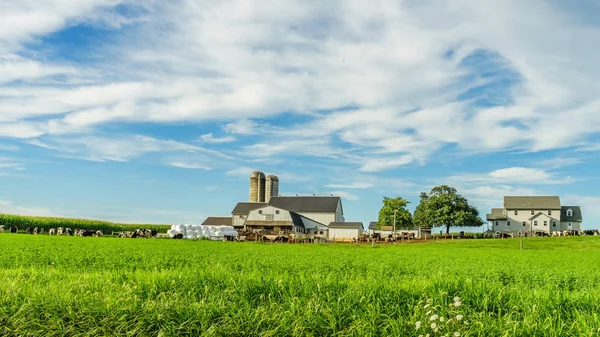 Amish ülke farm barn alan tarım Lancaster, PA