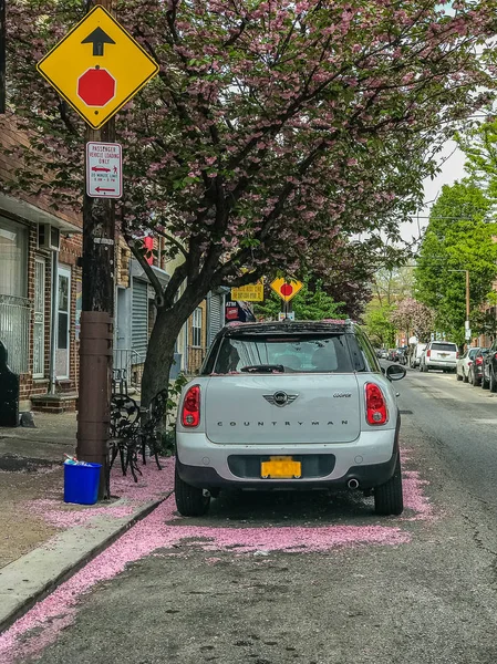 Philadelphia, Pennsylvania oss - April 23 2017 kronblad av sakura täcker gator och bil — Stockfoto