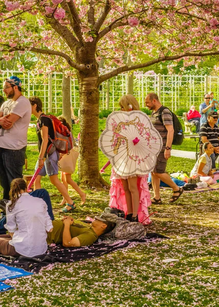 Brooklyn Ny bize - 29 Nisan 2017 Sakura Matsuri bahar günü kiraz çiçeği