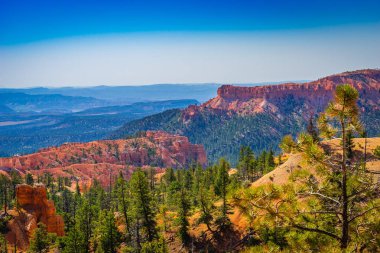Bryce Kanyonu Ulusal Parkı, Utah, ABD