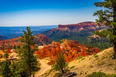 Bryce Kanyonu Ulusal Parkı, Utah, ABD