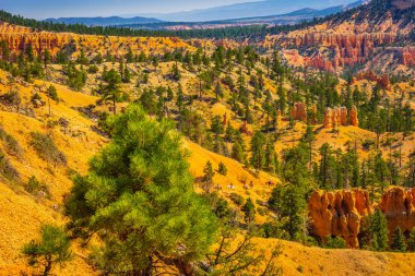 Bryce Canyon Milli Parkı, at izi Utah, Amerika Birleşik Devletleri