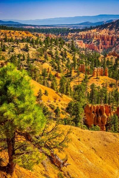 Parku Narodowego Bryce Canyon, Szlak konny, Utah, Stany Zjednoczone — Zdjęcie stockowe