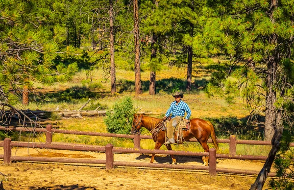 The Bryce Canyon National Park, Horse trail Utah, Estados Unidos —  Fotos de Stock