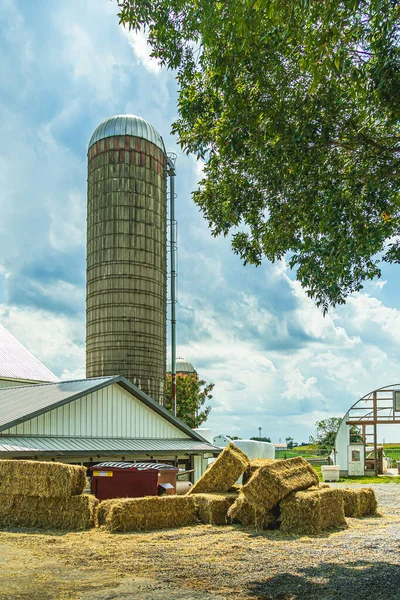 Amish country pole zemědělství farma stodola se sila v Lancaster, PA US. — Stock fotografie