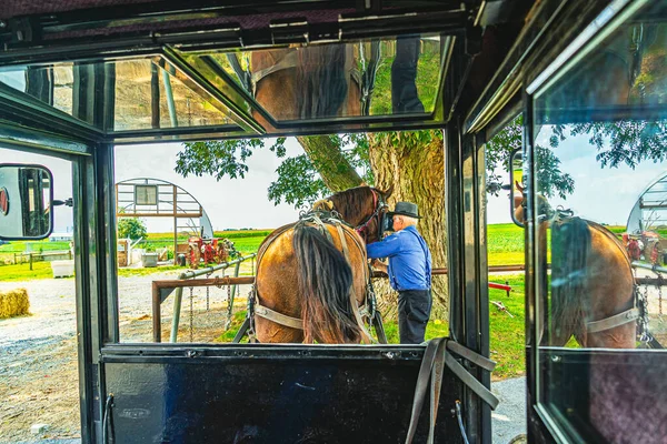 Amish Country, Lancaster Pa Us - September 4 2019, Amish man gondozó ló, kilátás egy kocsi Lancaster, Pa Us. — Stock Fotó