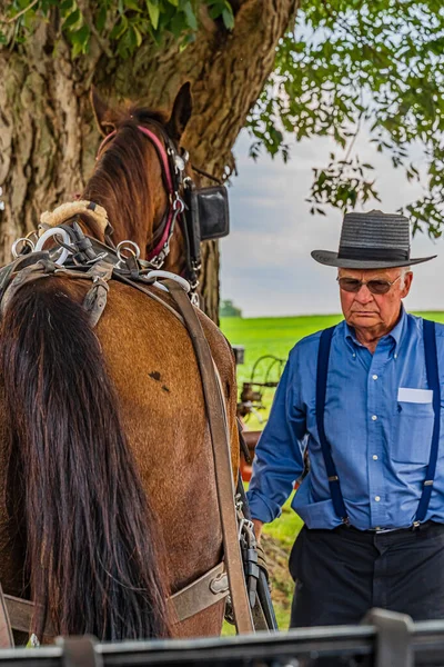 Amish Country, Lancaster Pa Us - September 4 2019, Amish man caring a horse. — Stock Fotó