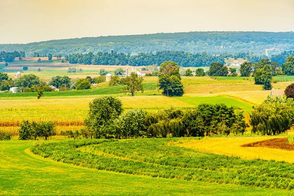 Amish country farm barn field agriculture in Lancaster, PA USA — Foto Stock
