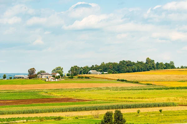 Amish country Corn field, road and town in Lancaster, PA PT — Fotografia de Stock