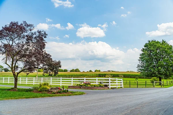 Amish tarlaları, yol ağaçları çitler ve Lancaster 'da çiçekler, Pa Us.