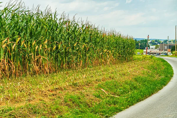 Страна амишей Кукурузное поле, шоссе и город в Ланкастере, Пенсильвания США — стоковое фото