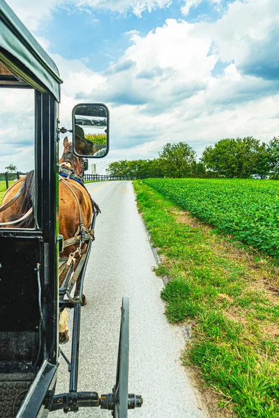 Lancaster 'daki Amish atı ve at arabası tarımı, Pa Us.