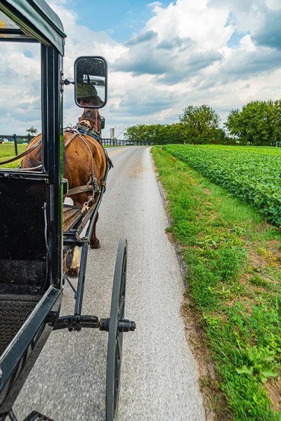 Amish caballo y buggy campo agricultura en Lancaster, PA US — Foto de Stock