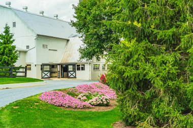 Amish tarlaları, yol ağaçları çitler ve Lancaster 'da çiçekler, Pa Us.