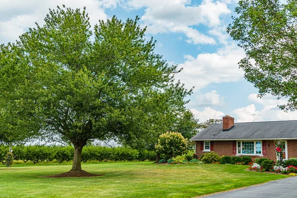 Amish Country, Lancaster Pa Us - 4 вересня 2019, будинок, паркан, дерево, трава на дорозі між полями в Ланкастері, Pa Us — стокове фото