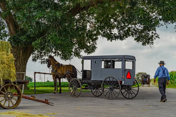 Страна амишей, штат Пенсильвания, США - 4 сентября 2019 года, мужчина-амиш, ухаживающий за лошадью, вид из окна в городе Фастер, штат Пенсильвания, США . — стоковое фото