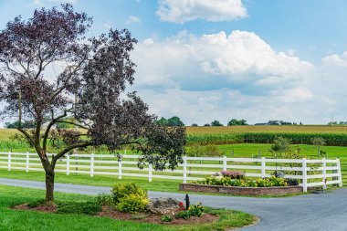 Amiş ülkesi, Lancaster Pa Us - 4 Eylül 2019, Lancaster 'daki tarlalar arasında ev, çit, ağaç, çimen, Pa Us