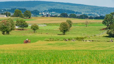 Amiş ülkesi, Lancaster Pa Us - 4 Eylül 2019, Lancaster 'daki tarlalar arasında ev, çit, ağaç, çimen, Pa Us