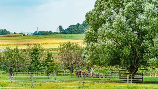 Amish campo granja granero agricultura en Lancaster, PA US — Foto de Stock