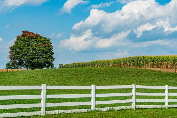 Amish campo granja granero agricultura en Lancaster, PA US — Foto de Stock