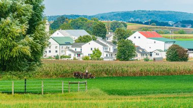 Lancaster, Pa Us Amish ülke çiftlik ahır tarla tarım