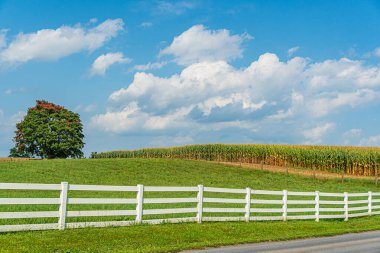 Lancaster, Pa Us Amish ülke çiftlik ahır tarla tarım