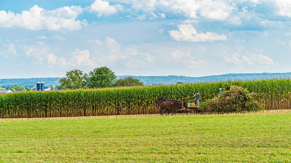 Амиши сельское хозяйство в Ланкастере, Пенсильвания США — стоковое фото