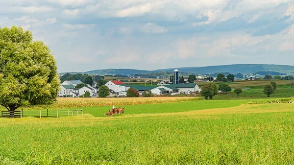 Amish country farm barn field agriculture in Lancaster, PA USA — Foto Stock