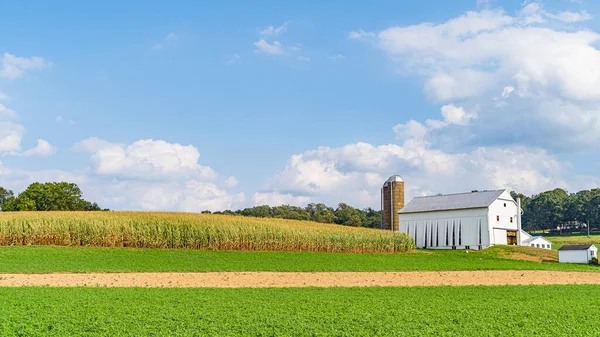 Amish country farm barn field agriculture in Lancaster, PA US — Stock Photo, Image
