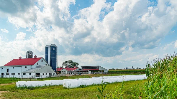 Amish campagna agricoltura, raccolto, fattoria, fienile a Lancaster, PA Stati Uniti — Foto Stock