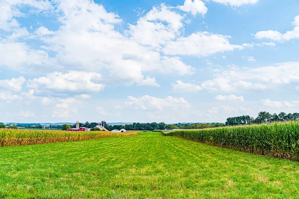 Амиши сельское хозяйство в Ланкастере, Пенсильвания США — стоковое фото