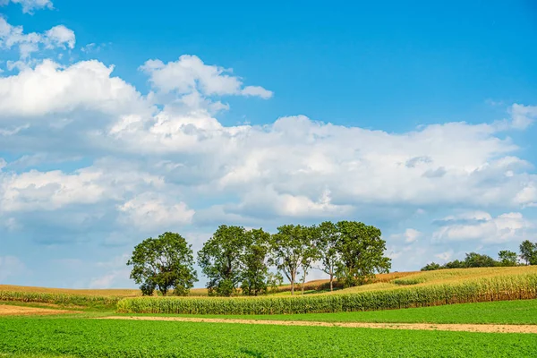 Амиши сельское хозяйство, урожай, ферма, амбар в Ланкастере, Пенсильвания США — стоковое фото