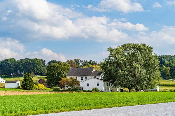 Amish country farm barn field agriculture in Lancaster, PA USA — Foto Stock