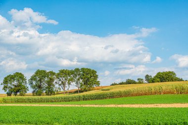 Amish country field agriculture, harvest, farm, barn in Lancaster, PA US