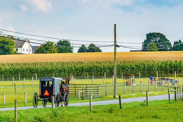 Campo Amish agricultura, caballo, cosecha, granja, granero en Lancaster, PA US — Foto de Stock