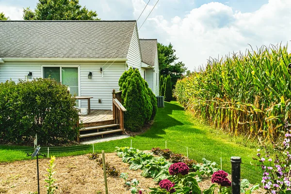 Amish Country, Lancaster Pa Us - 4 вересня 2019, будинок, паркан, дерево, трава на дорозі між полями в Ланкастері, Pa Us — стокове фото