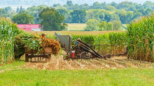 Campo Amish agricultura, cosecha, caballo, granja, granero en Lancaster, PA US — Foto de Stock