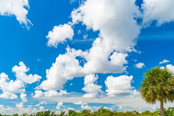 White cloud on blue sky in Florida, background, weather. — 스톡 사진