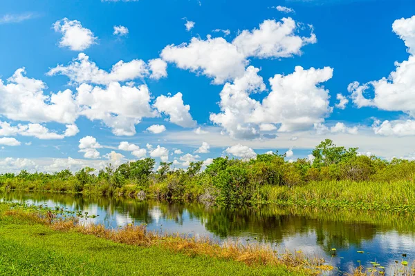 Everglades wetland in Florida, Everglades and Francis S. Taylor Wildlife Management Area
