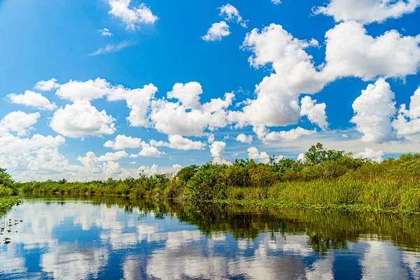 Florida, Everglades, Everglades ve Francis S. Taylor Vahşi Yaşam Yönetimi Bölgesi 'nde bataklık.
