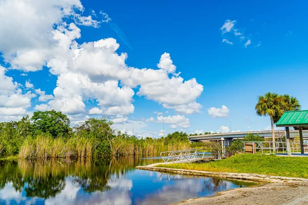 Everglades zone umide in Florida, Everglades e Francis S. Taylor Wildlife Management Area — Foto Stock
