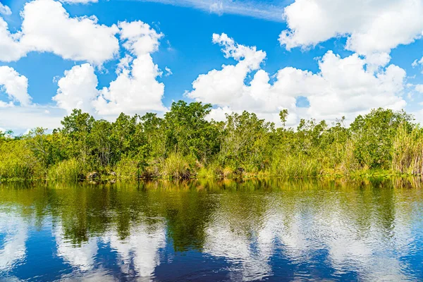 佛罗里达州的Everglades湿地、 Everglades湿地和Francis S. Taylor野生动物管理区 — 图库照片