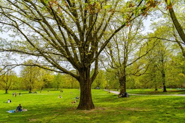 Prospect Park, Brooklyn New York 3 Mayıs 2020, Brooklyn, New York. İnsanlar sosyal mesafelerini koruyorlar, çünkü Pazar günü, Prospect Park 'ta yaşanan...