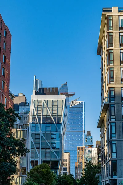 Manhattan Nueva York Agosto 2019 High Line Park Manhattan Vista — Foto de Stock