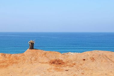 Kurutulmuş yaprakları ile kova