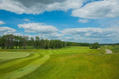Serbest metin alanı alanıyla forrest ve mavi gökyüzü ve beyaz bulutlar ile kırpılmış çim bir güneşli bir günde, bir yer nerede dinlenmek için arka plan 