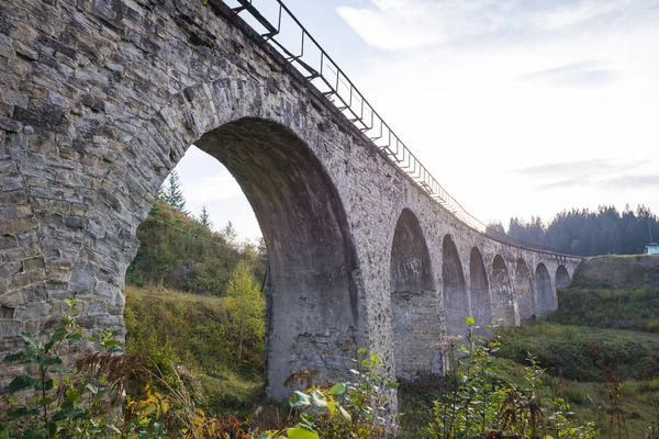 Bridge Viaduct Carpatian Mountains Old Bridge Train Green Mountain Field — Stock Photo, Image