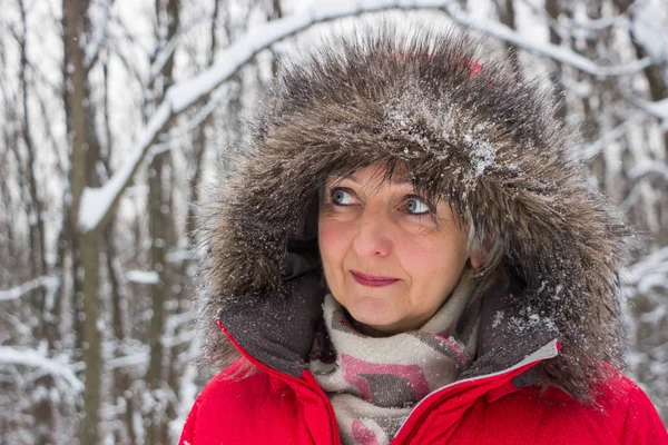 Kış kar ahşap kırmızı paltolu güzel kadın kıdemli portresi